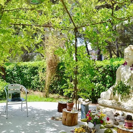 Spera Yoga Retreats - Vacanza Yoga Ritiro Di 1 Settimana Nardo