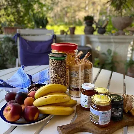 Spera Yoga Retreats - Vacanza Yoga Ritiro Di 1 Settimana Bed & Breakfast