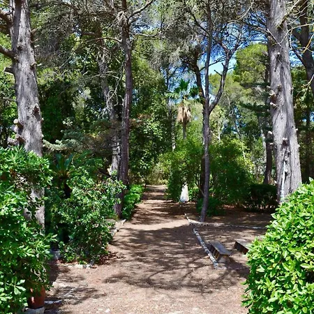 Bed & Breakfast Spera Yoga Retreats - Vacanza Yoga Ritiro Di 1 Settimana